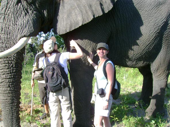Monique Roden - amazed at the size of the Abu elephants!